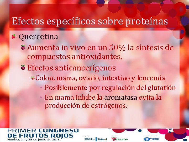 Efectos específicos sobre proteínas Quercetina Aumenta in vivo en un 50% la síntesis de