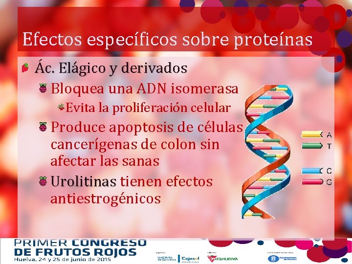 Efectos específicos sobre proteínas Ác. Elágico y derivados Bloquea una ADN isomerasa Evita la