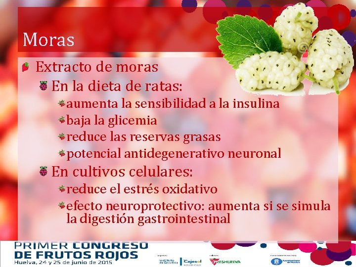 Moras Extracto de moras En la dieta de ratas: aumenta la sensibilidad a la