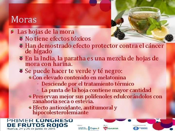 Moras Las hojas de la mora No tiene efectos tóxicos Han demostrado efecto protector