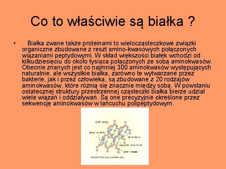 Co to właściwie są białka ? • Białka zwane także proteinami to wielocząsteczkowe związki