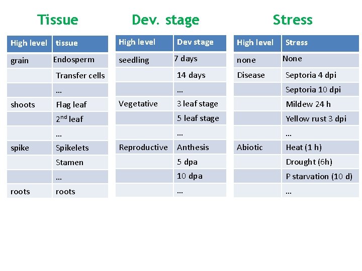 Tissue High level tissue grain shoots spike roots Endosperm Dev. stage High level seedling