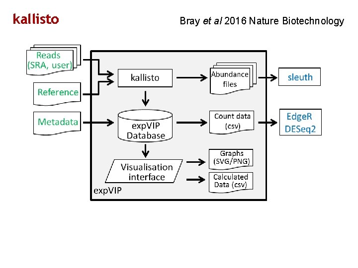 kallisto Bray et al 2016 Nature Biotechnology 