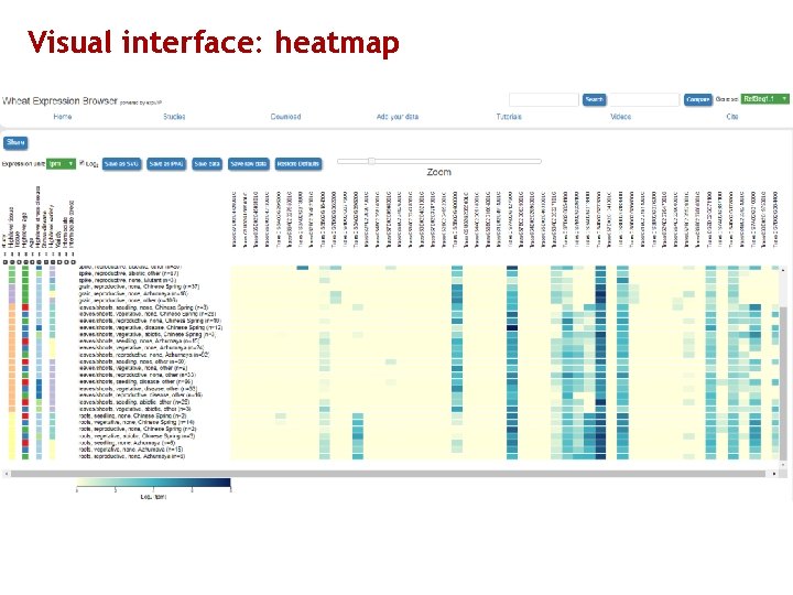 Visual interface: heatmap 