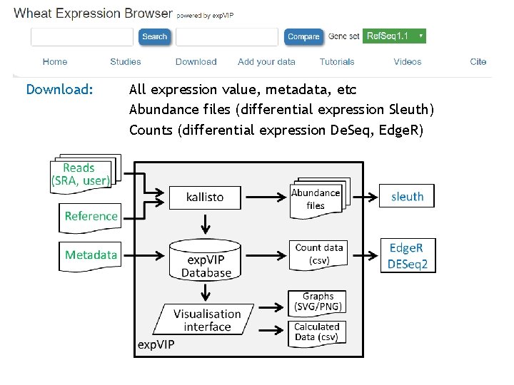 Download: All expression value, metadata, etc Abundance files (differential expression Sleuth) Counts (differential expression