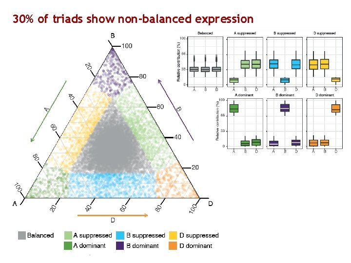 30% of triads show non-balanced expression 