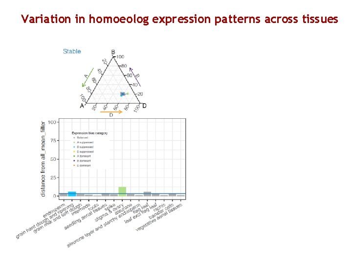 Variation in homoeolog expression patterns across tissues 