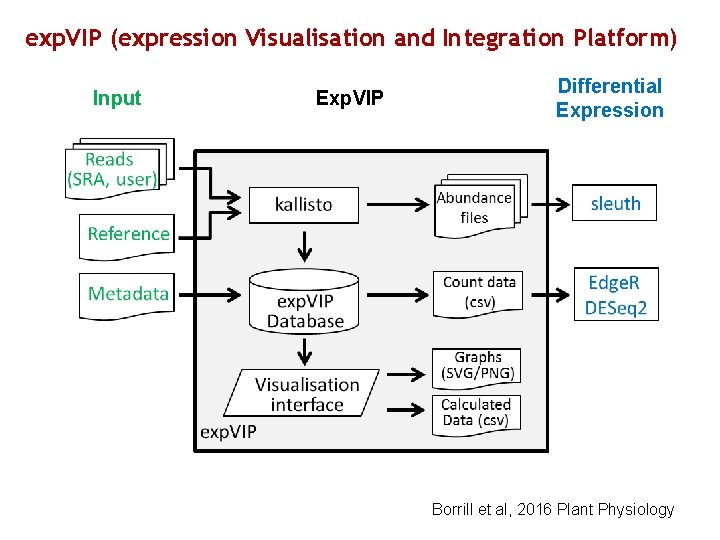 exp. VIP (expression Visualisation and Integration Platform) Input Exp. VIP Differential Expression Borrill et