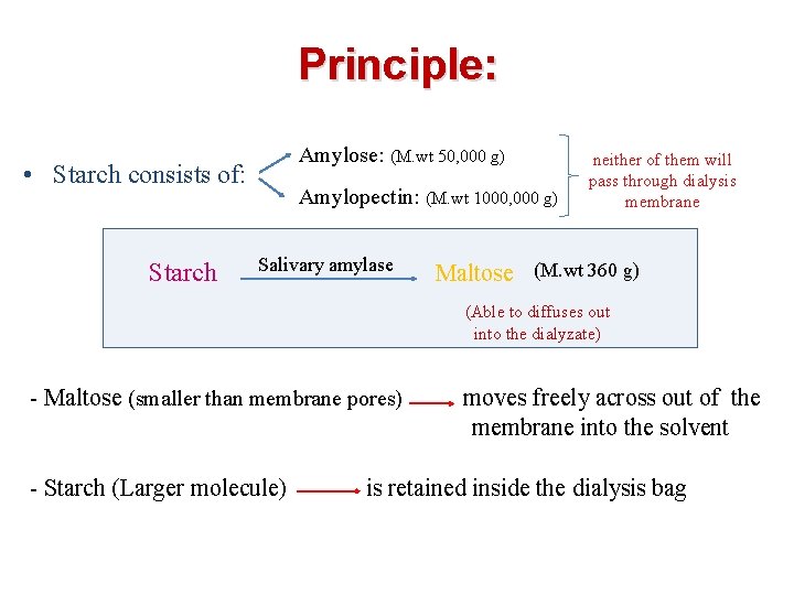Principle: Amylose: (M. wt 50, 000 g) • Starch consists of: Starch Amylopectin: (M.