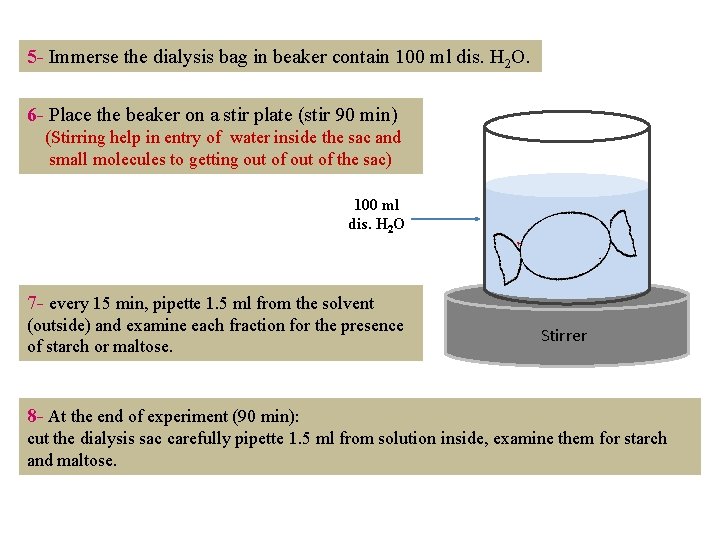 5 - Immerse the dialysis bag in beaker contain 100 ml dis. H 2