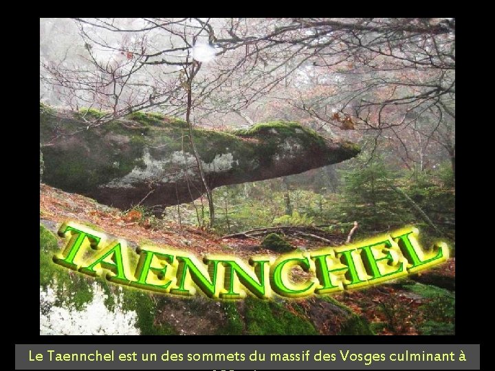 Le Taennchel est un des sommets du massif des Vosges culminant à 