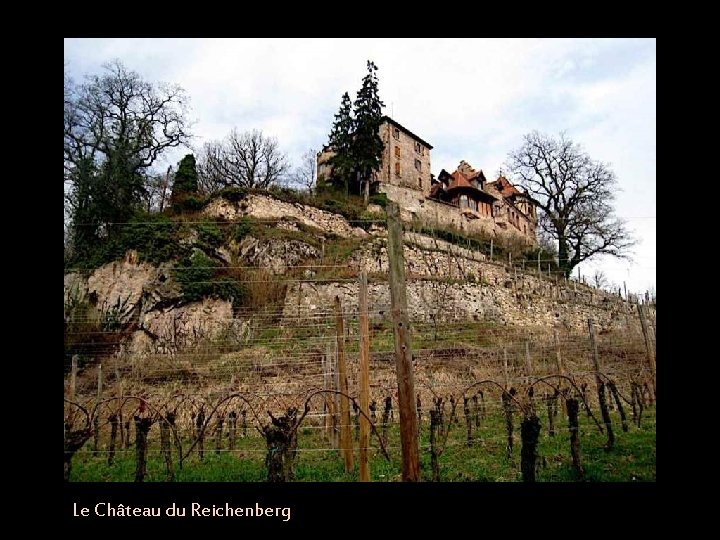 Le Château du Reichenberg 