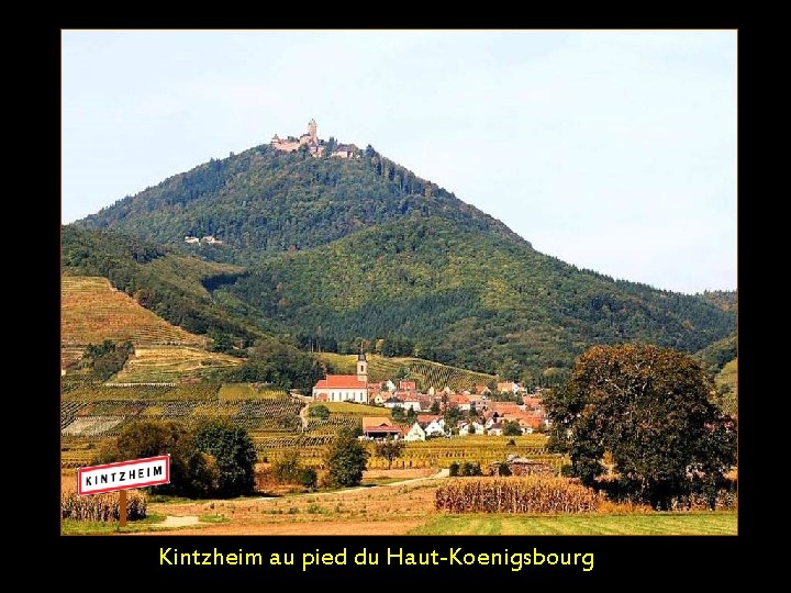 Kintzheim au pied du Haut-Koenigsbourg 