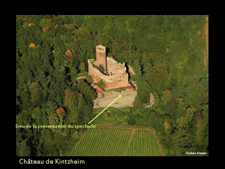 Lieu de la présentation du spectacle Château de Kintzheim 