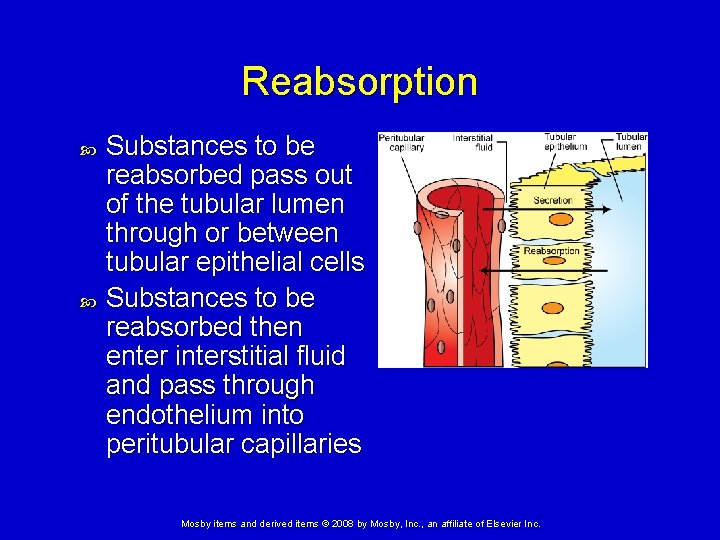 Reabsorption Substances to be reabsorbed pass out of the tubular lumen through or between