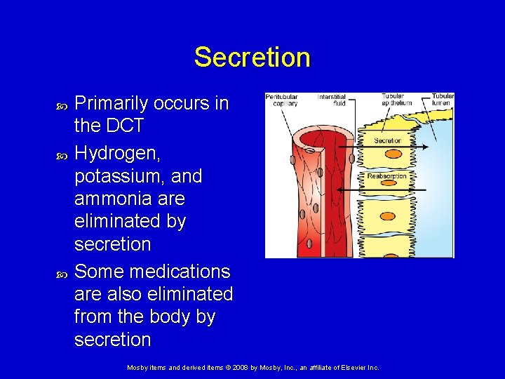 Secretion Primarily occurs in the DCT Hydrogen, potassium, and ammonia are eliminated by secretion