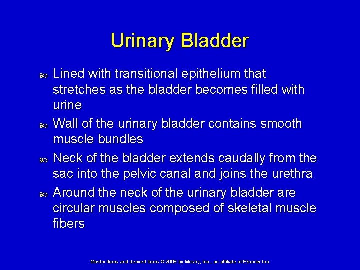 Urinary Bladder Lined with transitional epithelium that stretches as the bladder becomes filled with