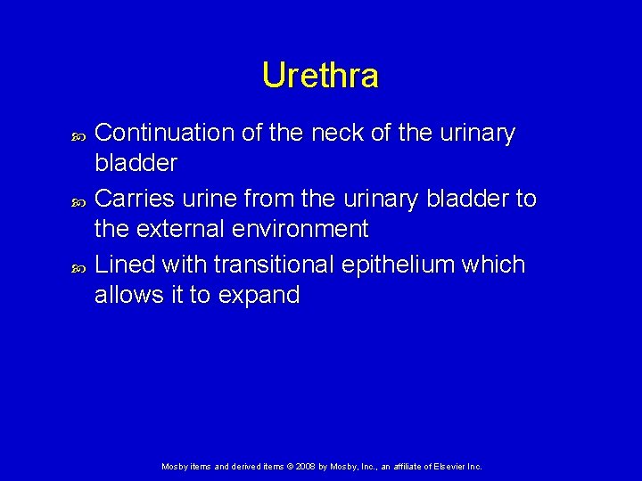 Urethra Continuation of the neck of the urinary bladder Carries urine from the urinary