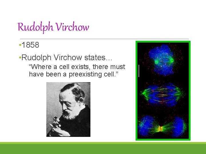 Rudolph Virchow • 1858 • Rudolph Virchow states… “Where a cell exists, there must