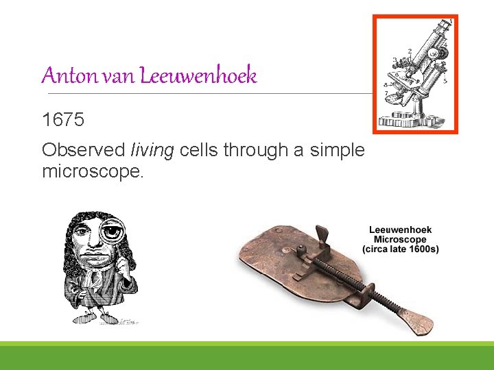 Anton van Leeuwenhoek 1675 Observed living cells through a simple microscope. 