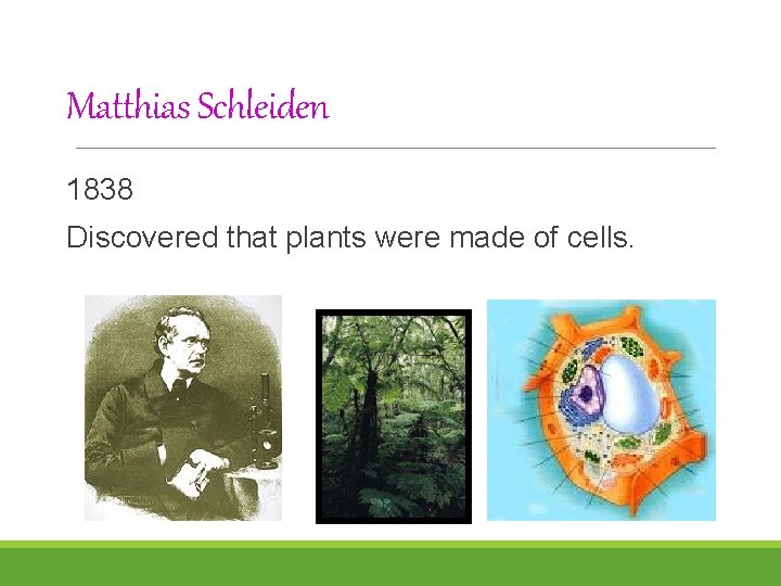 Matthias Schleiden 1838 Discovered that plants were made of cells. 