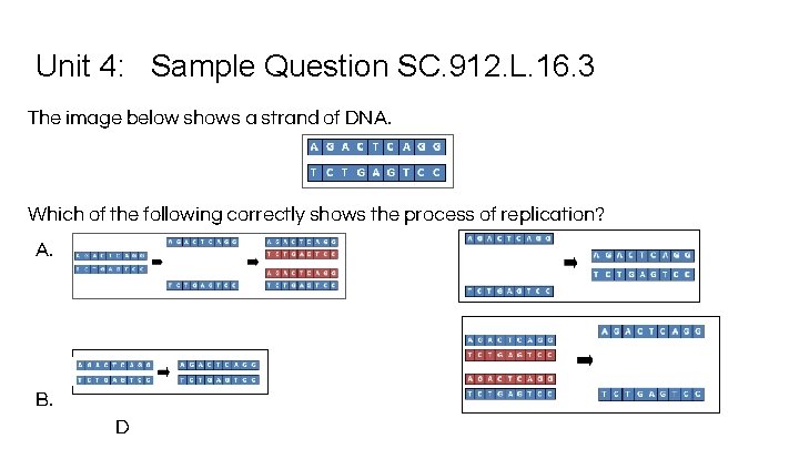 Unit 4: Sample Question SC. 912. L. 16. 3 The image below shows a