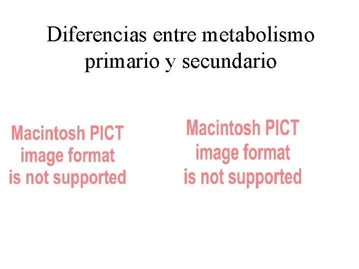 Diferencias entre metabolismo primario y secundario 