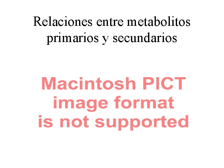 Relaciones entre metabolitos primarios y secundarios 