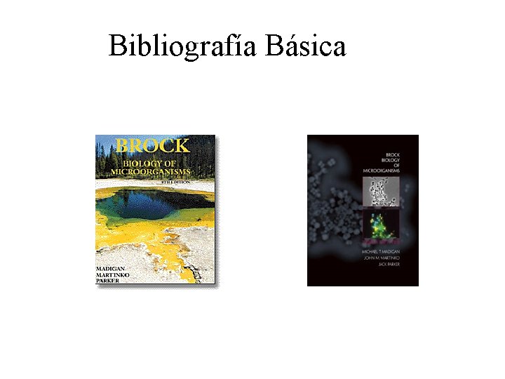 Bibliografía Básica 
