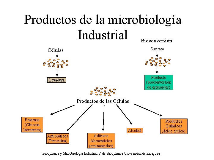 Productos de la microbiología Industrial Bioconversión Sustrato Células Producto (bioconversión de esteroides) Levadura Productos