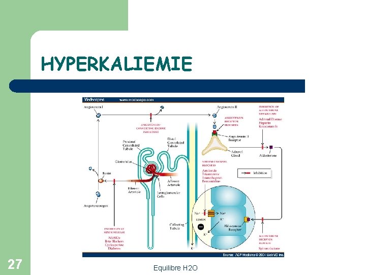 HYPERKALIEMIE 27 Equilibre H 2 O 