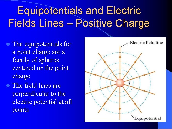 Equipotentials and Electric Fields Lines – Positive Charge The equipotentials for a point charge