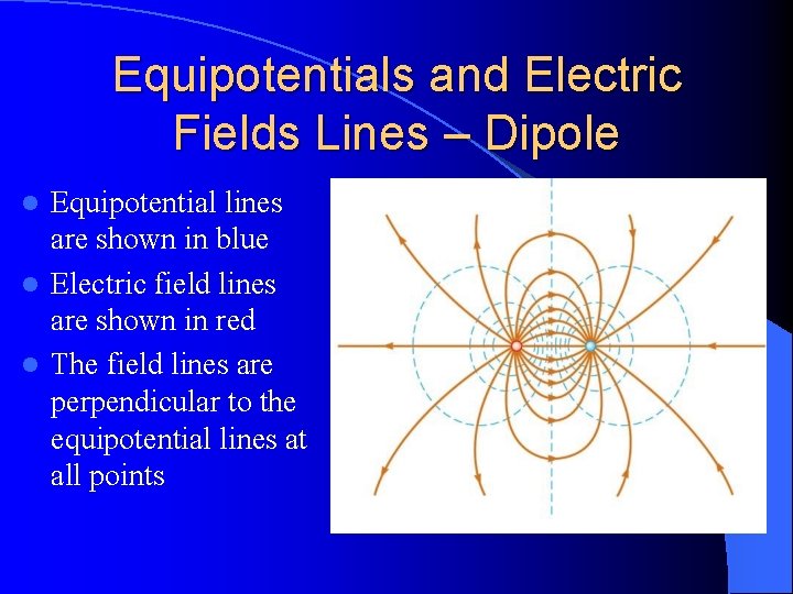 Equipotentials and Electric Fields Lines – Dipole Equipotential lines are shown in blue l