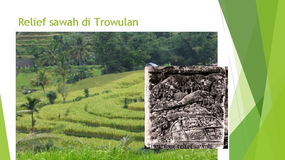 Relief sawah di Trowulan Relief sawah di Trowulan