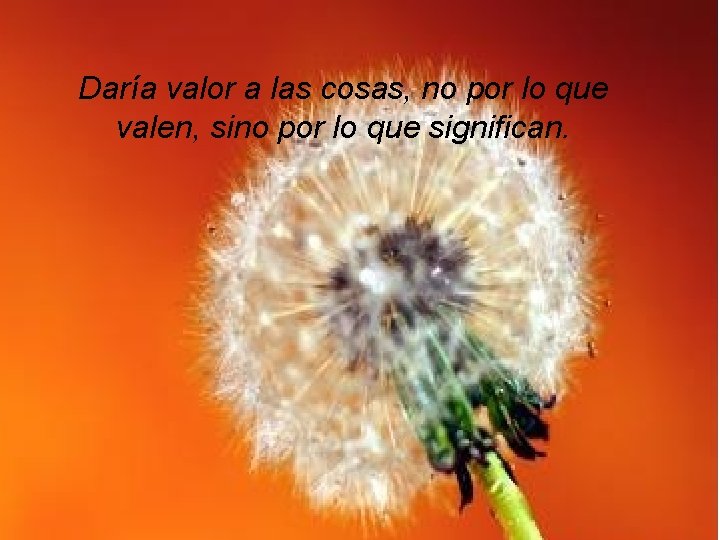 Daría valor a las cosas, no por lo que valen, sino por lo que