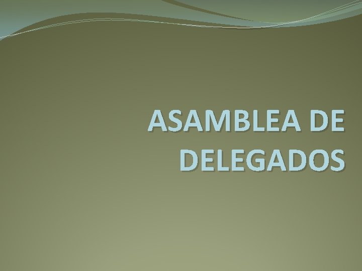 ASAMBLEA DE DELEGADOS 