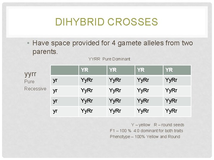 DIHYBRID CROSSES • Have space provided for 4 gamete alleles from two parents. YYRR