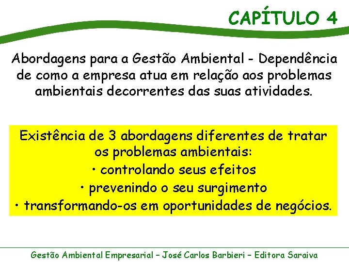 CAPÍTULO 4 Abordagens para a Gestão Ambiental - Dependência de como a empresa atua