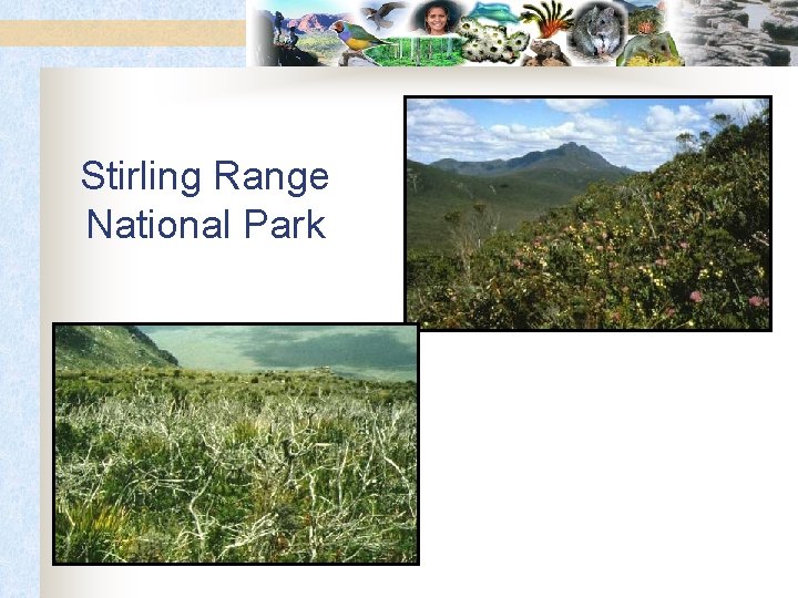 Stirling Range National Park 