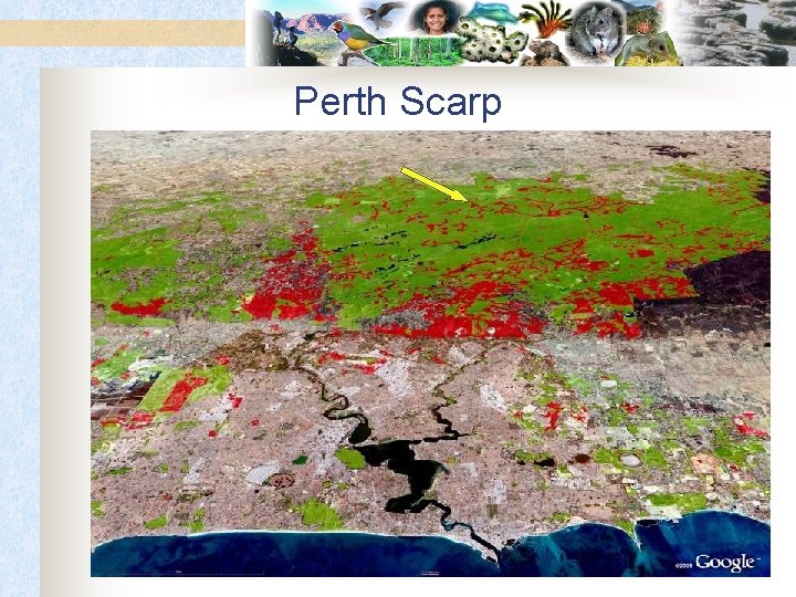 Perth Scarp 