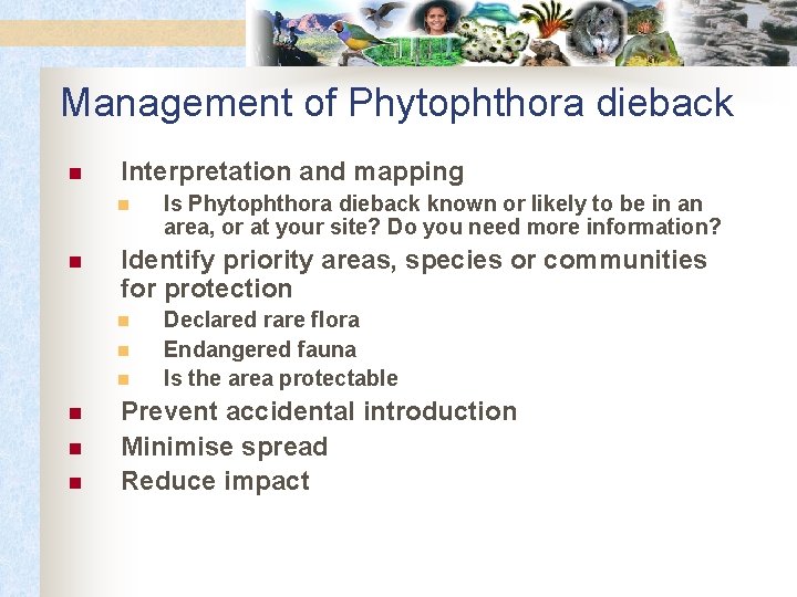 Management of Phytophthora dieback n Interpretation and mapping n n Identify priority areas, species