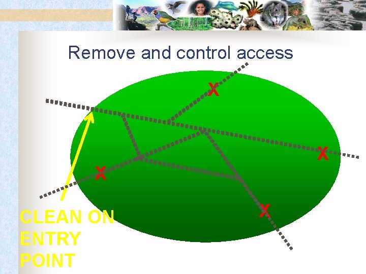Remove and control access X X X CLEAN ON ENTRY POINT X 