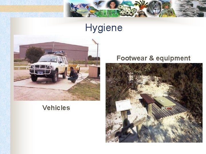 Hygiene Footwear & equipment Vehicles 