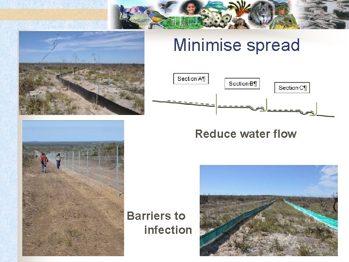 Minimise spread Reduce water flow Barriers to infection 