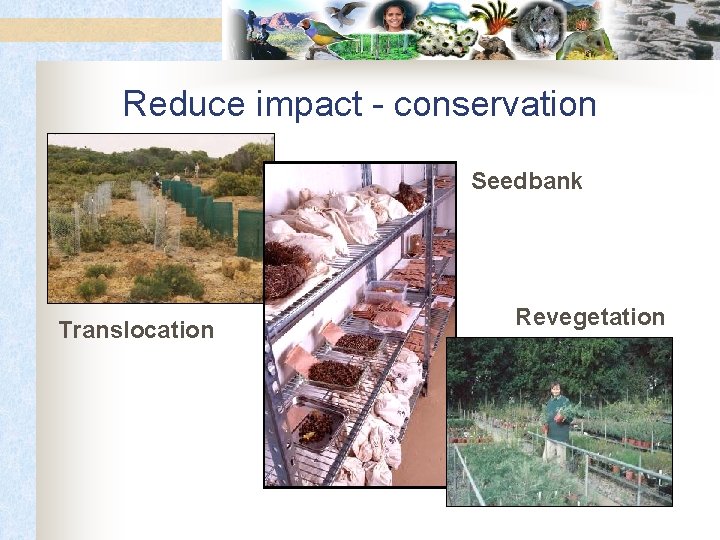 Reduce impact - conservation Seedbank Translocation Revegetation 