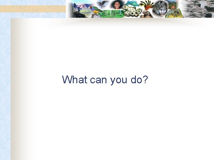 What can you do? 