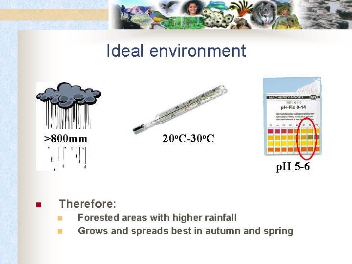 Ideal environment >800 mm 20 o. C-30 o. C p. H 5 -6 n