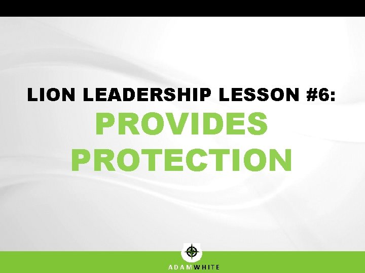 LION LEADERSHIP LESSON #6: PROVIDES PROTECTION ADAMWHITE 