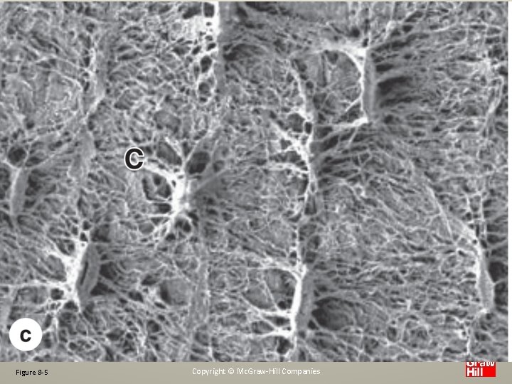 Figure 8 -5 Copyright © Mc. Graw-Hill Companies 