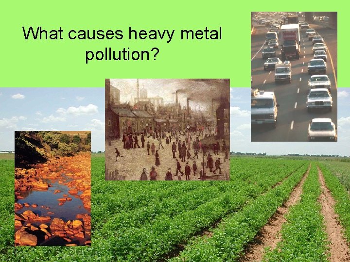 What causes heavy metal pollution? 